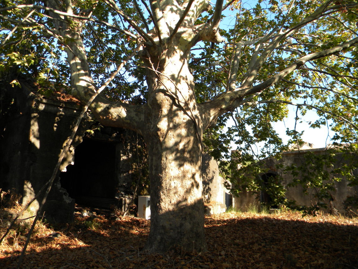 DSCN8032 .JPG